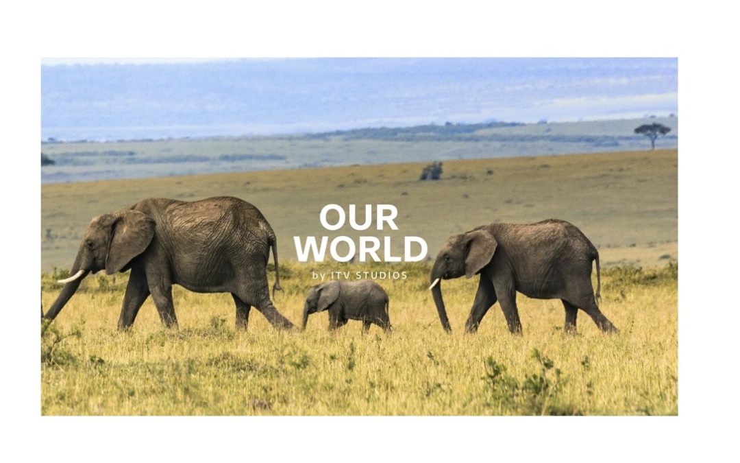Our World – Zoo 55/ ITV Studios