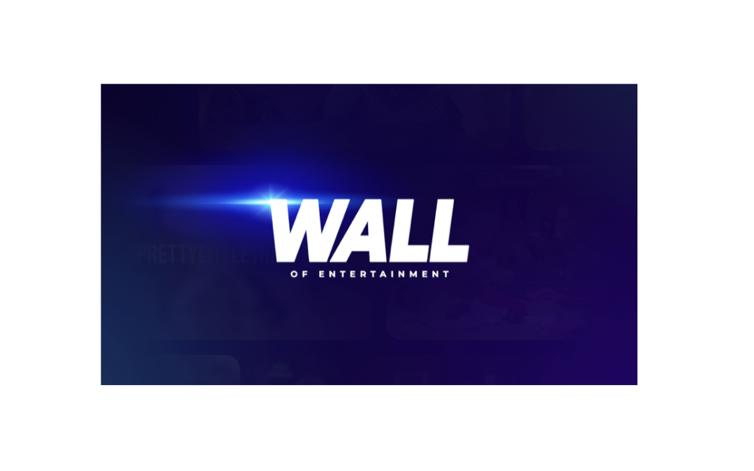 Wall of Entertainment